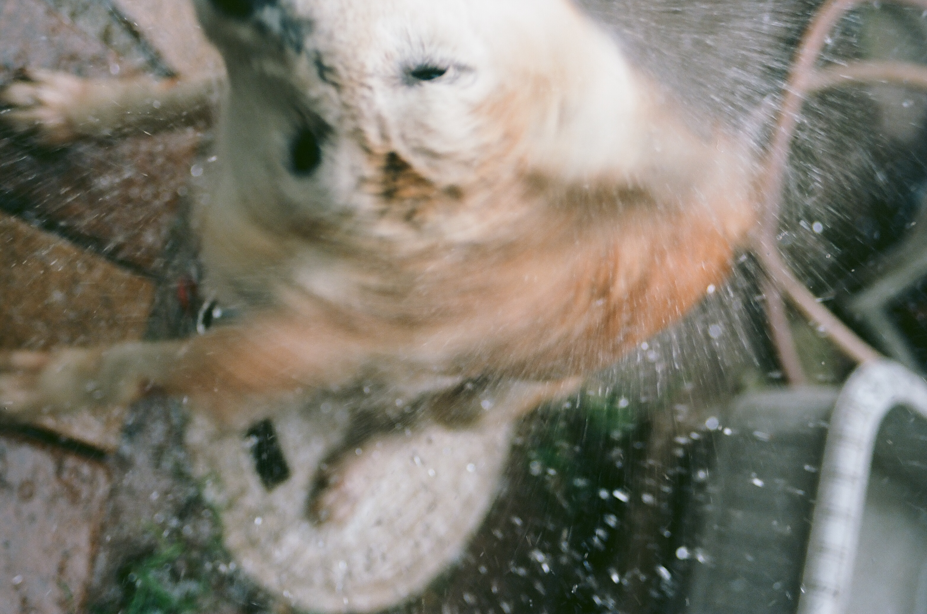 73D861DE-E9DF-4F52-9EC3-E065E49753A0