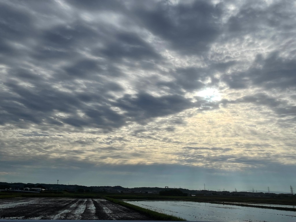 富山に友人が来て