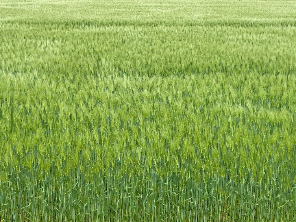 今後について[林ショップ]